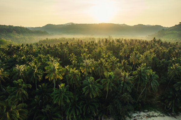 Où trouver les meilleures expériences de spa thermal en Islande?